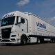 camion Vitadis / transport et logistique / vue côté gauche / beau comme un camion