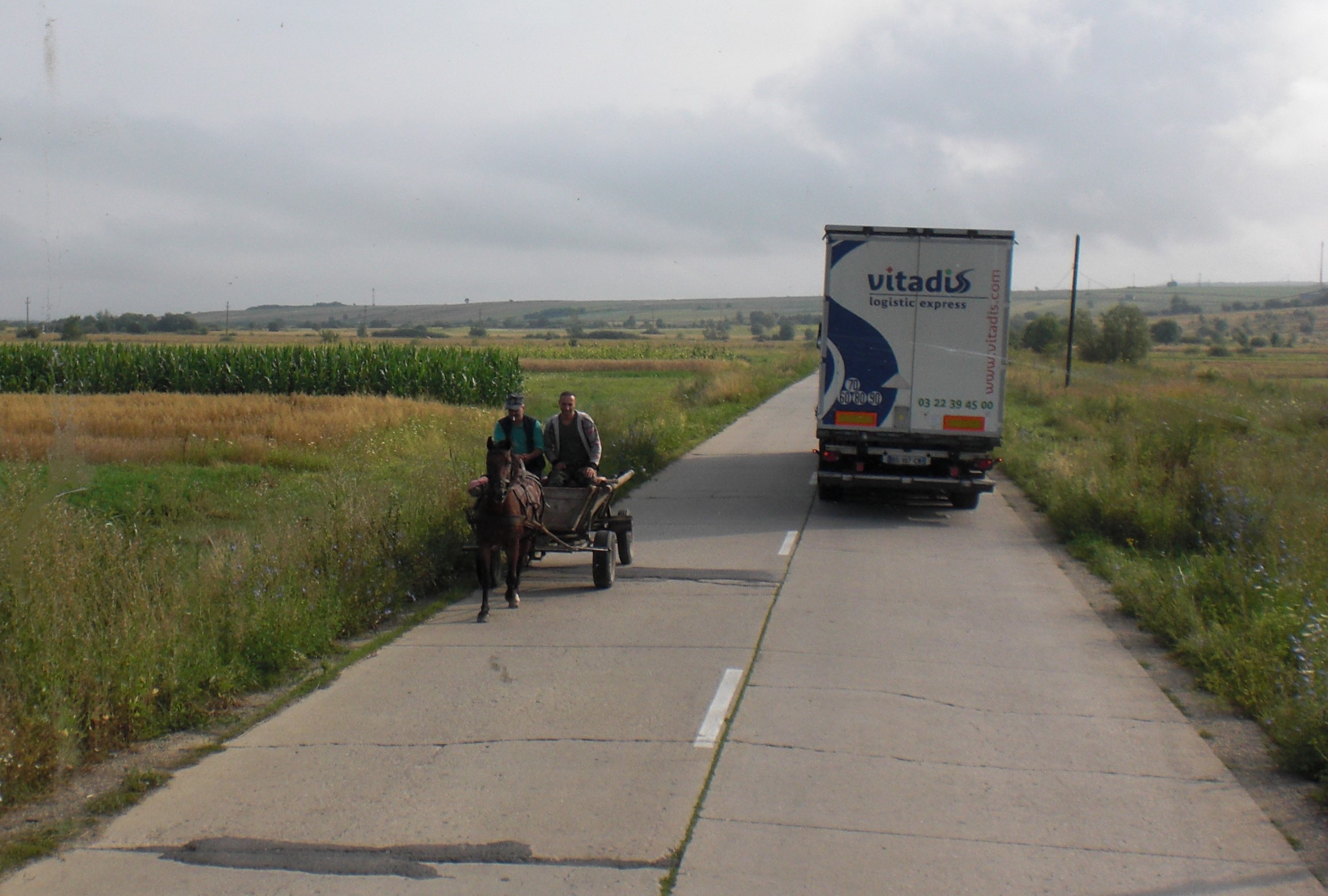 Vitadis road transport in Romania